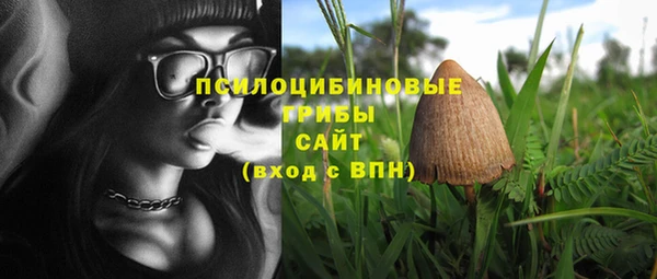марки lsd Няндома